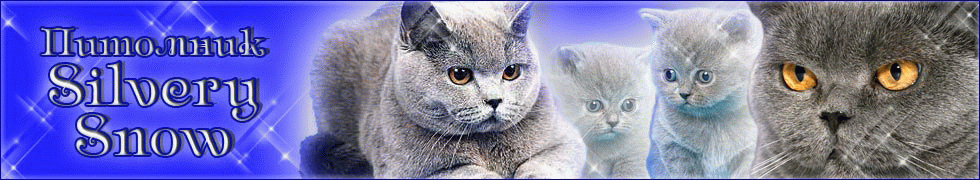 �������� ���������� ����� Silvery Snow