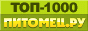 ������� - ��� 1000