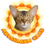 Главная