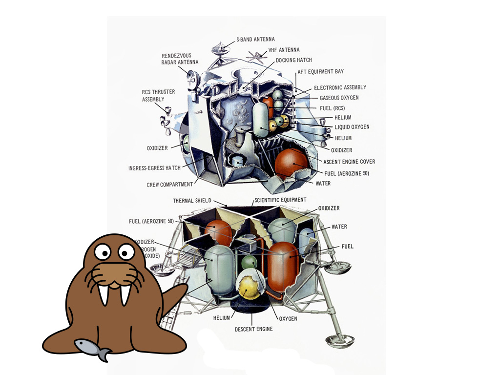 cartoon walrus in front of lunar module